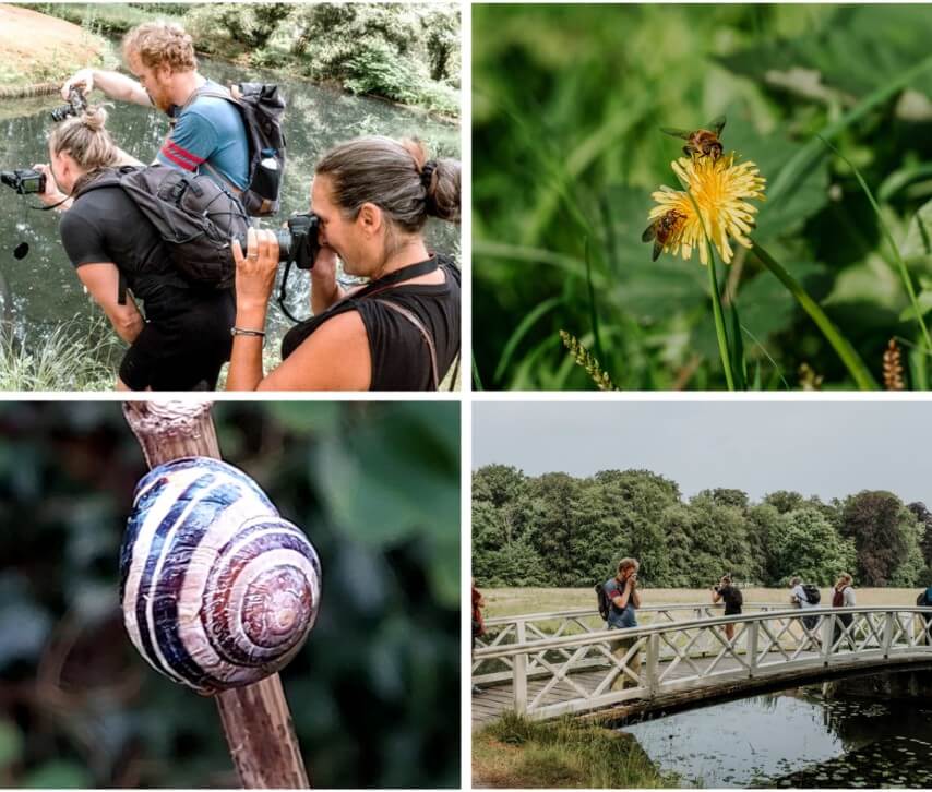 Natuur & Fotografie | Vier seizoenen in beeld